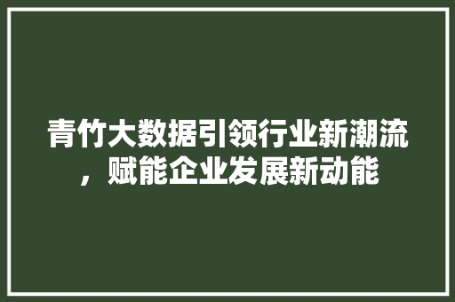 青竹大数据引领行业新潮流，赋能企业发展新动能
