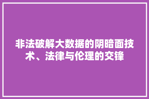 非法破解大数据的阴暗面技术、法律与伦理的交锋