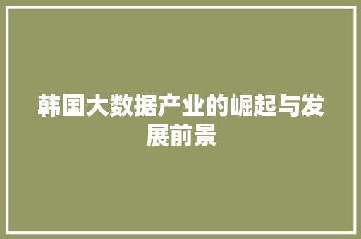 韩国大数据产业的崛起与发展前景