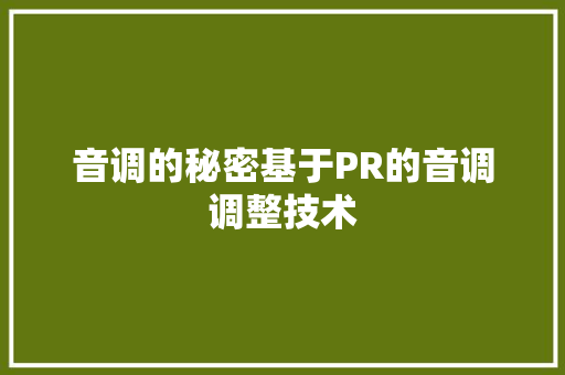 音调的秘密基于PR的音调调整技术
