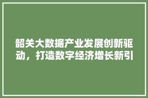 韶关大数据产业发展创新驱动，打造数字经济增长新引擎