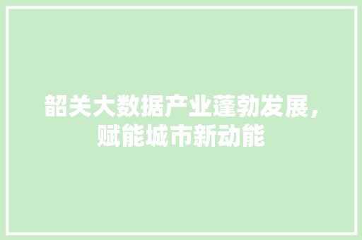 韶关大数据产业蓬勃发展，赋能城市新动能