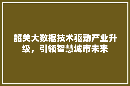 韶关大数据技术驱动产业升级，引领智慧城市未来