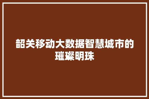 韶关移动大数据智慧城市的璀璨明珠