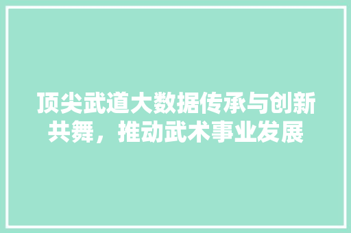 顶尖武道大数据传承与创新共舞，推动武术事业发展