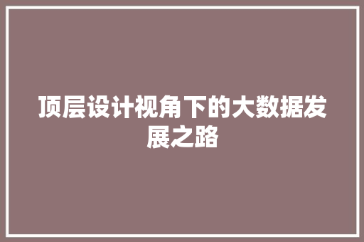 顶层设计视角下的大数据发展之路
