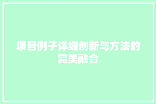 项目例子详细创新与方法的完美融合