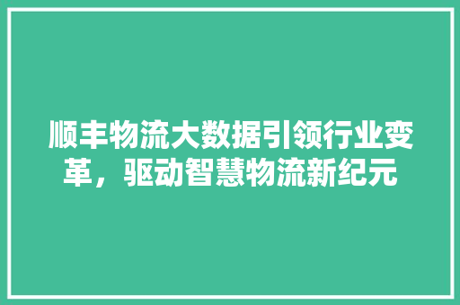 顺丰物流大数据引领行业变革，驱动智慧物流新纪元