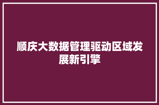 顺庆大数据管理驱动区域发展新引擎
