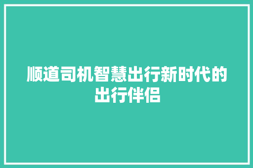 顺道司机智慧出行新时代的出行伴侣