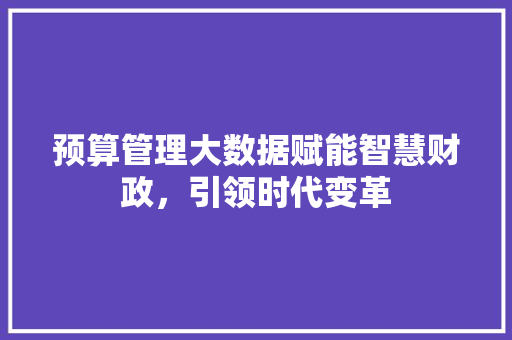 预算管理大数据赋能智慧财政，引领时代变革