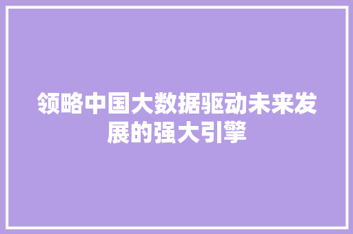 领略中国大数据驱动未来发展的强大引擎