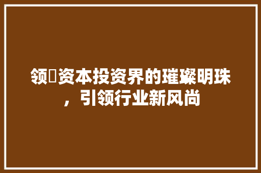 领沨资本投资界的璀璨明珠，引领行业新风尚