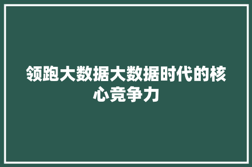 领跑大数据大数据时代的核心竞争力