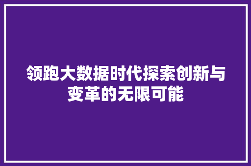 领跑大数据时代探索创新与变革的无限可能