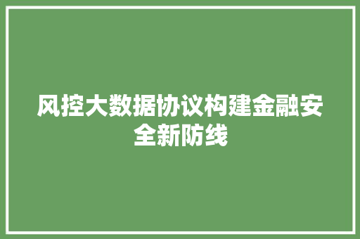 风控大数据协议构建金融安全新防线