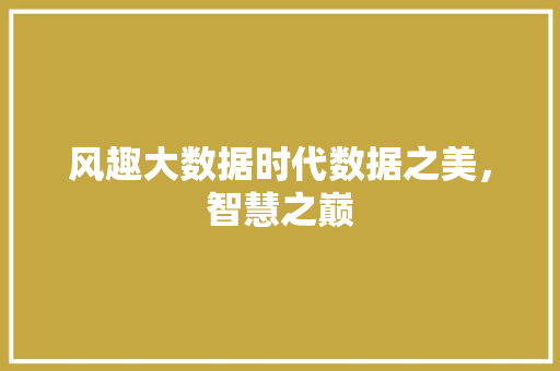 风趣大数据时代数据之美，智慧之巅