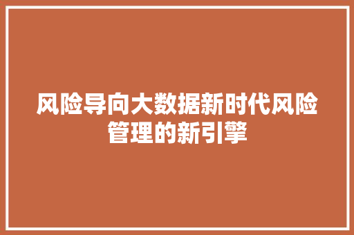 风险导向大数据新时代风险管理的新引擎