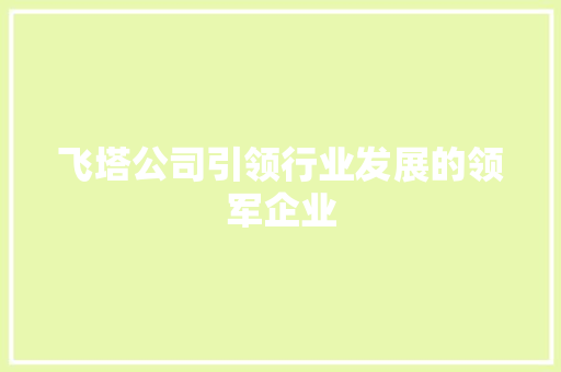 飞塔公司引领行业发展的领军企业