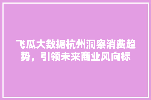 飞瓜大数据杭州洞察消费趋势，引领未来商业风向标