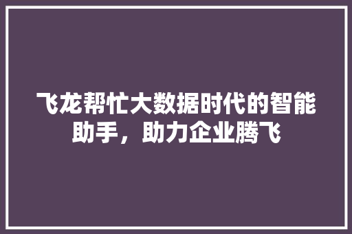 飞龙帮忙大数据时代的智能助手，助力企业腾飞
