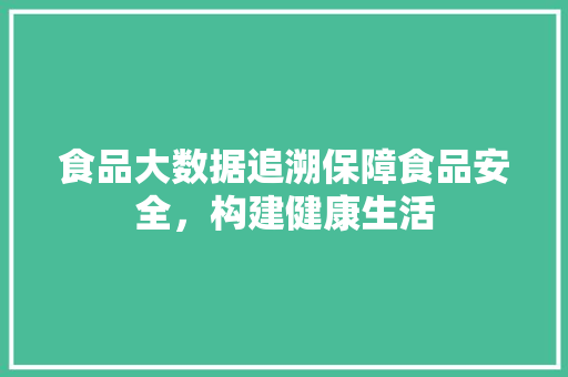 食品大数据追溯保障食品安全，构建健康生活