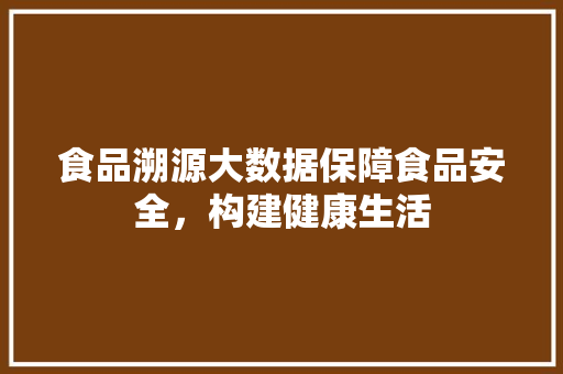 食品溯源大数据保障食品安全，构建健康生活
