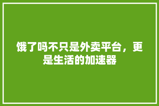 饿了吗不只是外卖平台，更是生活的加速器