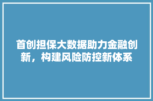 首创担保大数据助力金融创新，构建风险防控新体系