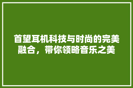 首望耳机科技与时尚的完美融合，带你领略音乐之美
