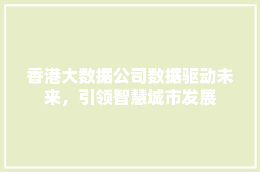 香港大数据公司数据驱动未来，引领智慧城市发展