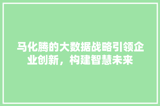 马化腾的大数据战略引领企业创新，构建智慧未来