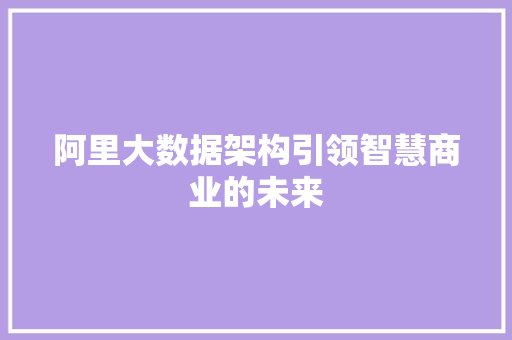 阿里大数据架构引领智慧商业的未来