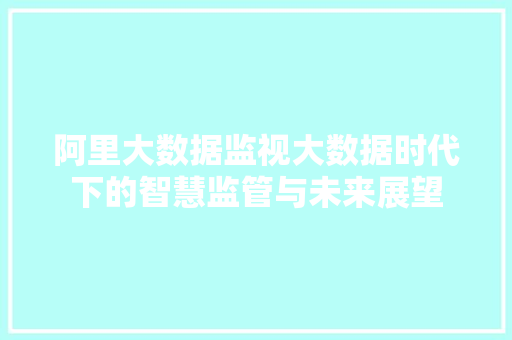 阿里大数据监视大数据时代下的智慧监管与未来展望