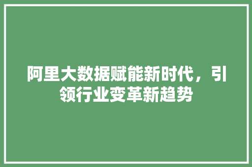 阿里大数据赋能新时代，引领行业变革新趋势
