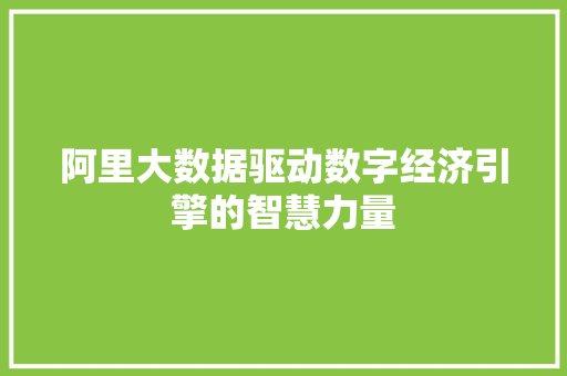 阿里大数据驱动数字经济引擎的智慧力量