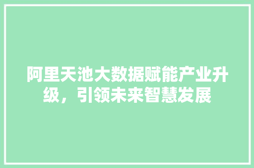 阿里天池大数据赋能产业升级，引领未来智慧发展