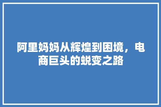 阿里妈妈从辉煌到困境，电商巨头的蜕变之路