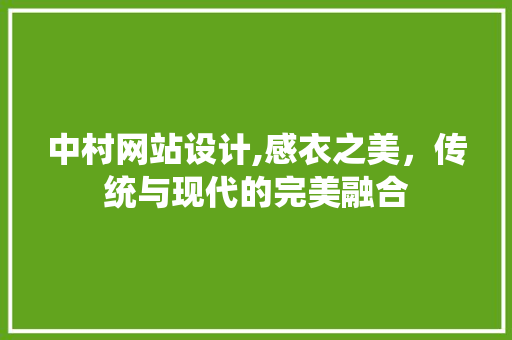 中村网站设计,感衣之美，传统与现代的完美融合
