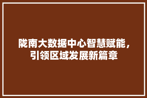 陇南大数据中心智慧赋能，引领区域发展新篇章