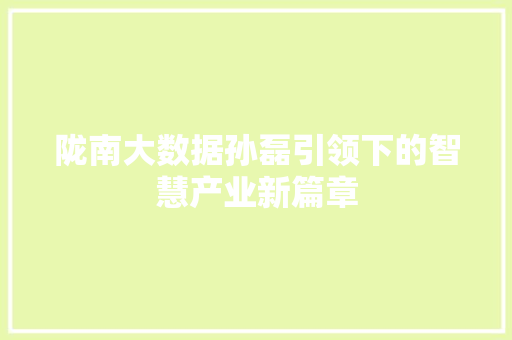 陇南大数据孙磊引领下的智慧产业新篇章