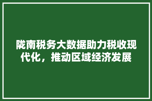 陇南税务大数据助力税收现代化，推动区域经济发展
