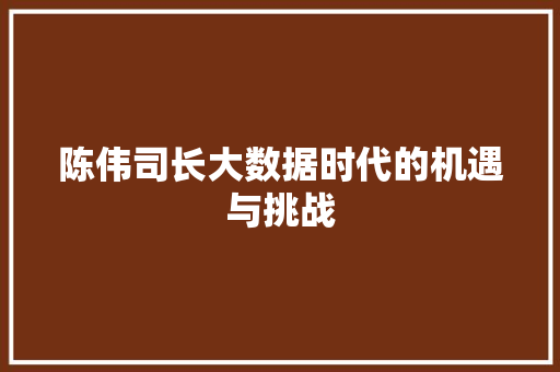 陈伟司长大数据时代的机遇与挑战