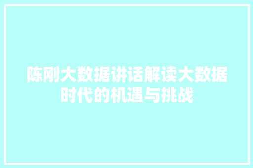 陈刚大数据讲话解读大数据时代的机遇与挑战
