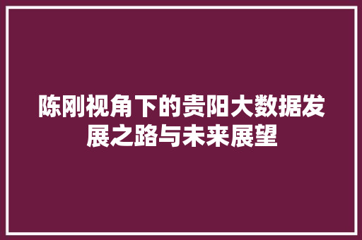 陈刚视角下的贵阳大数据发展之路与未来展望