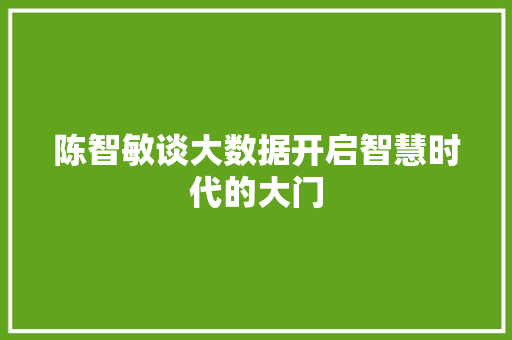 陈智敏谈大数据开启智慧时代的大门