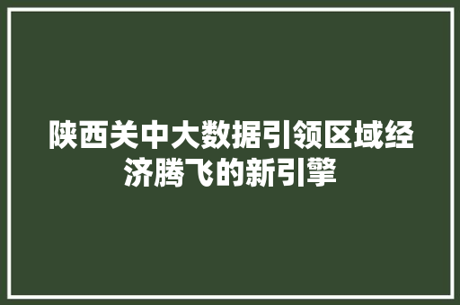 陕西关中大数据引领区域经济腾飞的新引擎