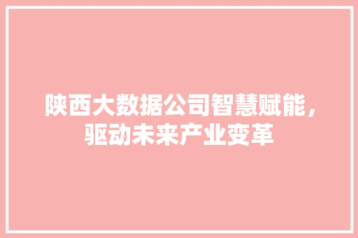 陕西大数据公司智慧赋能，驱动未来产业变革