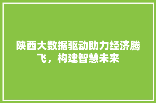 陕西大数据驱动助力经济腾飞，构建智慧未来