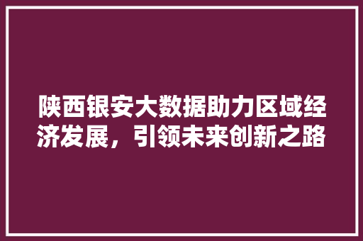 陕西银安大数据助力区域经济发展，引领未来创新之路